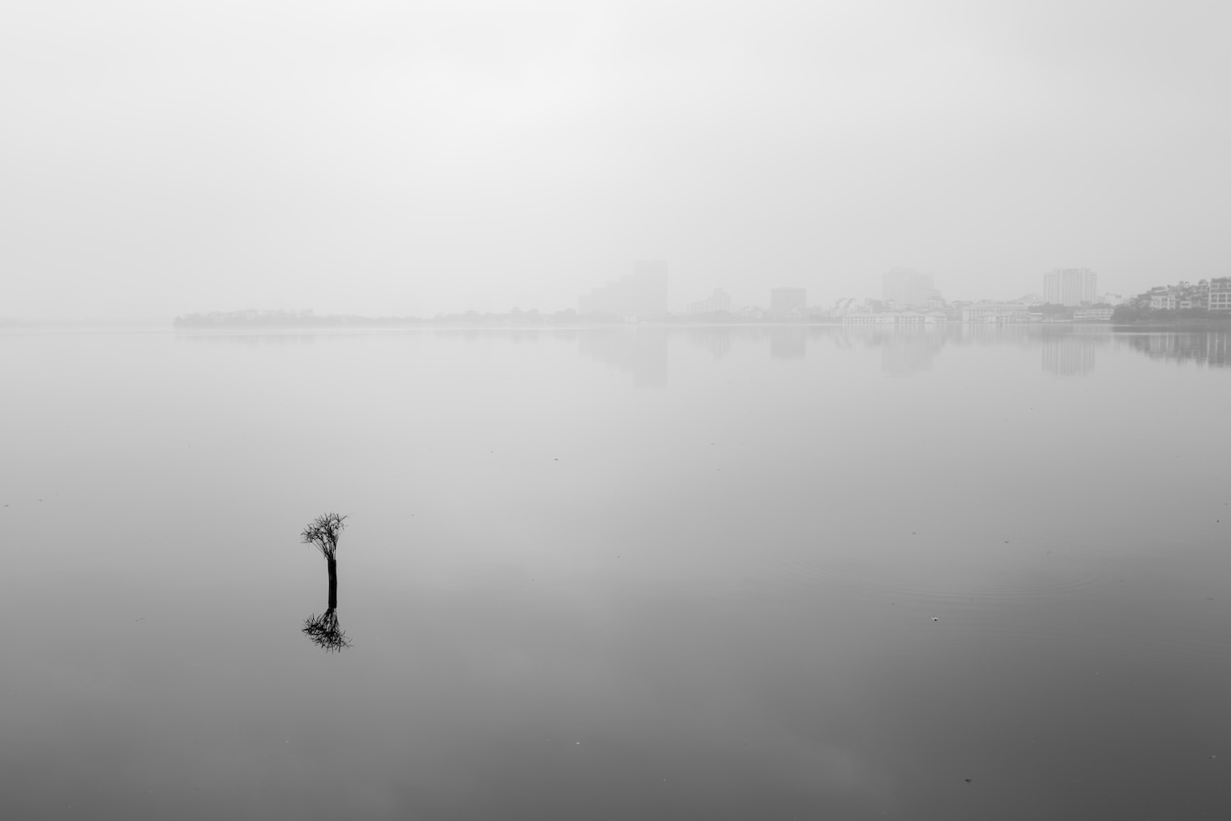 Mist with flower